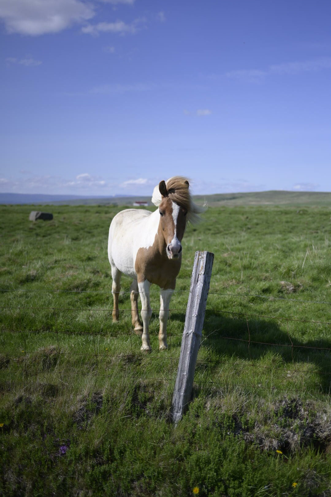 Une journée à la campagne